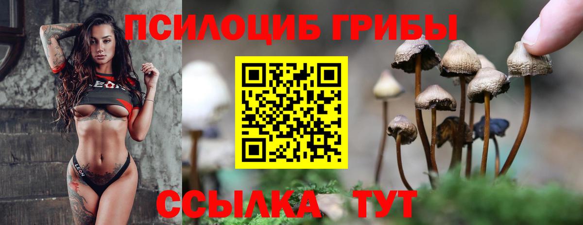 Псилоцибиновые грибы Cubensis  Вход с VPN  Зеленодольск 